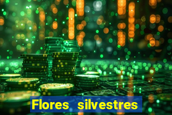 Flores silvestres brasileiras brasileiras flores silvestres nomes e imagens